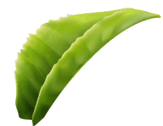 合仕環保有限公司